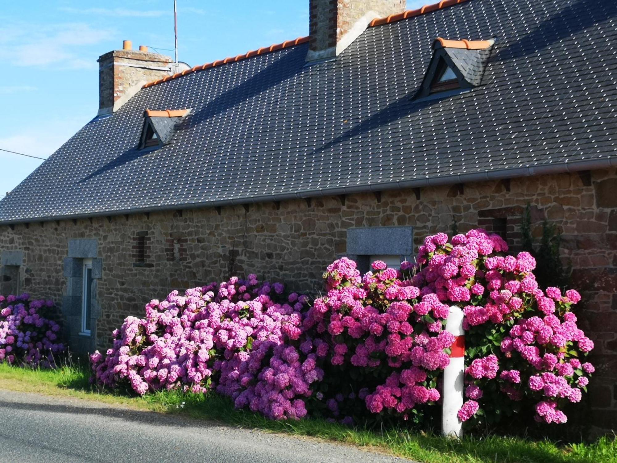 Gite Breton Sur La Cote De Granit Rose Villa Pleudaniel Bagian luar foto