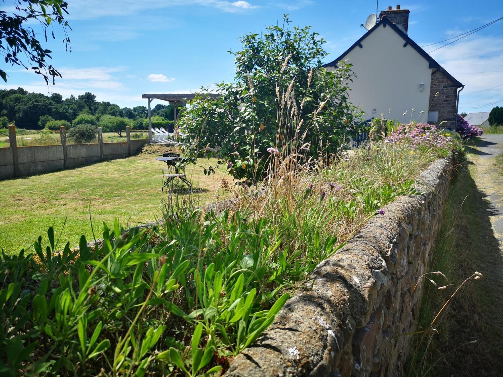 Gite Breton Sur La Cote De Granit Rose Villa Pleudaniel Bagian luar foto